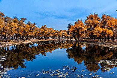 Steam Deck现已发售 《艾尔登法环》游玩视频